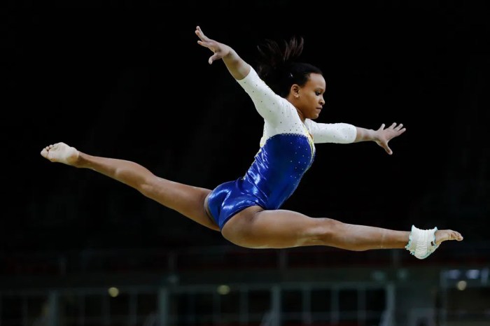 Artistas que apresentam números de ginástica